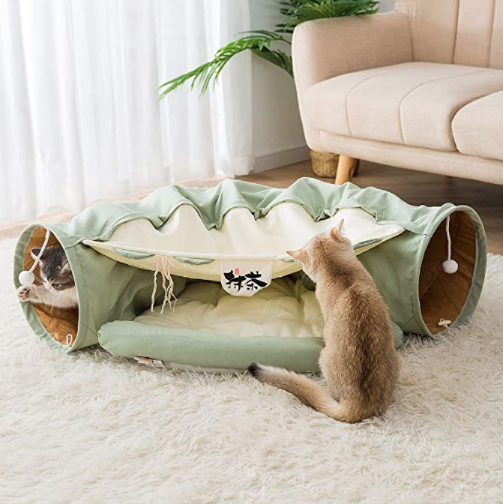 Cat Tunnel Cat Tunnel