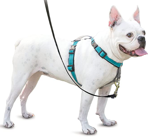 Small Dog Harness Small Dog Harness