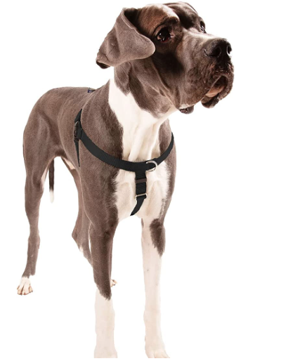 Large Dog Harness Large Dog Harness