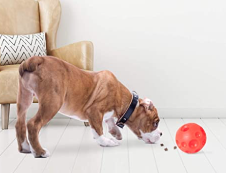 Omega Treat Ball Omega Treat Ball