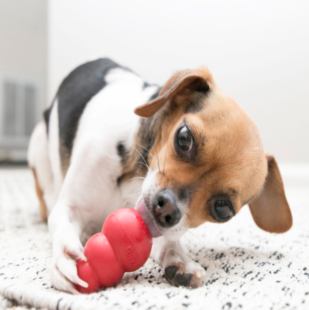 Kong Chew Toy Kong Chew Toy