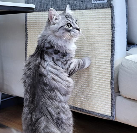 Couch Scratching Pad Couch Scratching Pad
