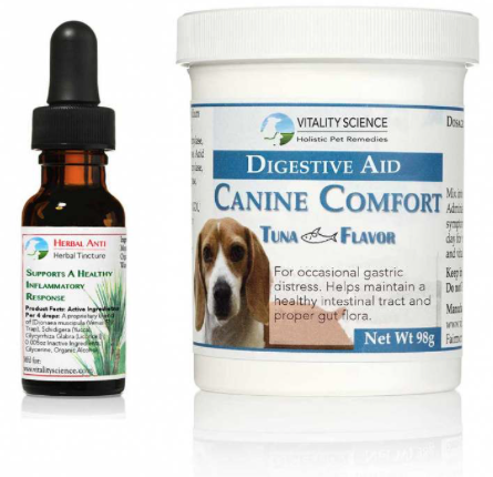 GI Canine Support GI Canine Support