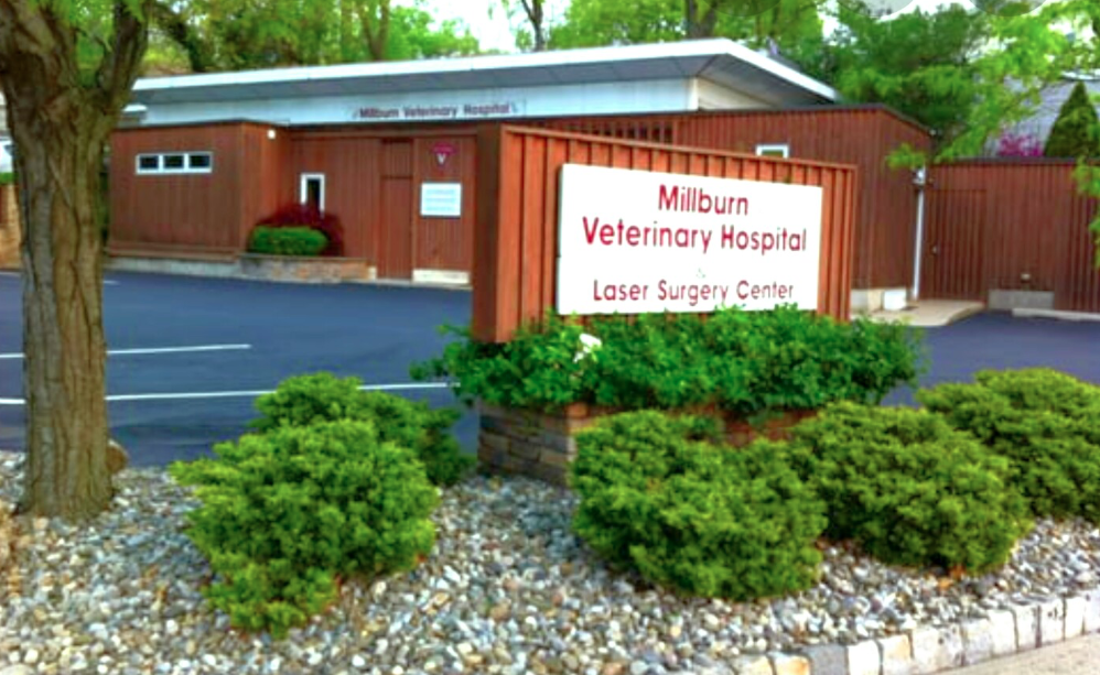 Millburn Vet Hospital Millburn Vet Hospital