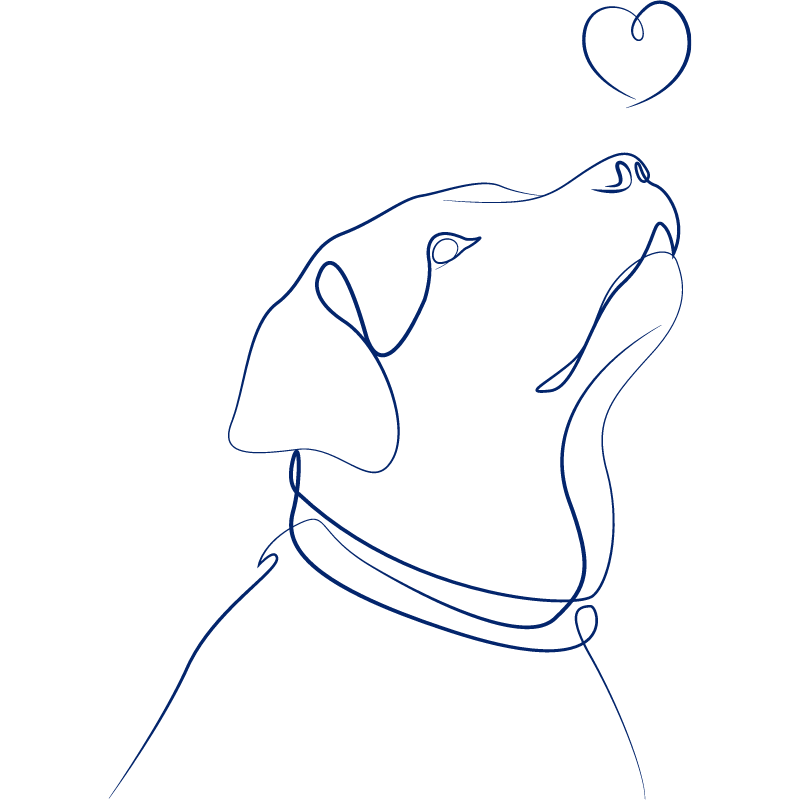 Dog Walking