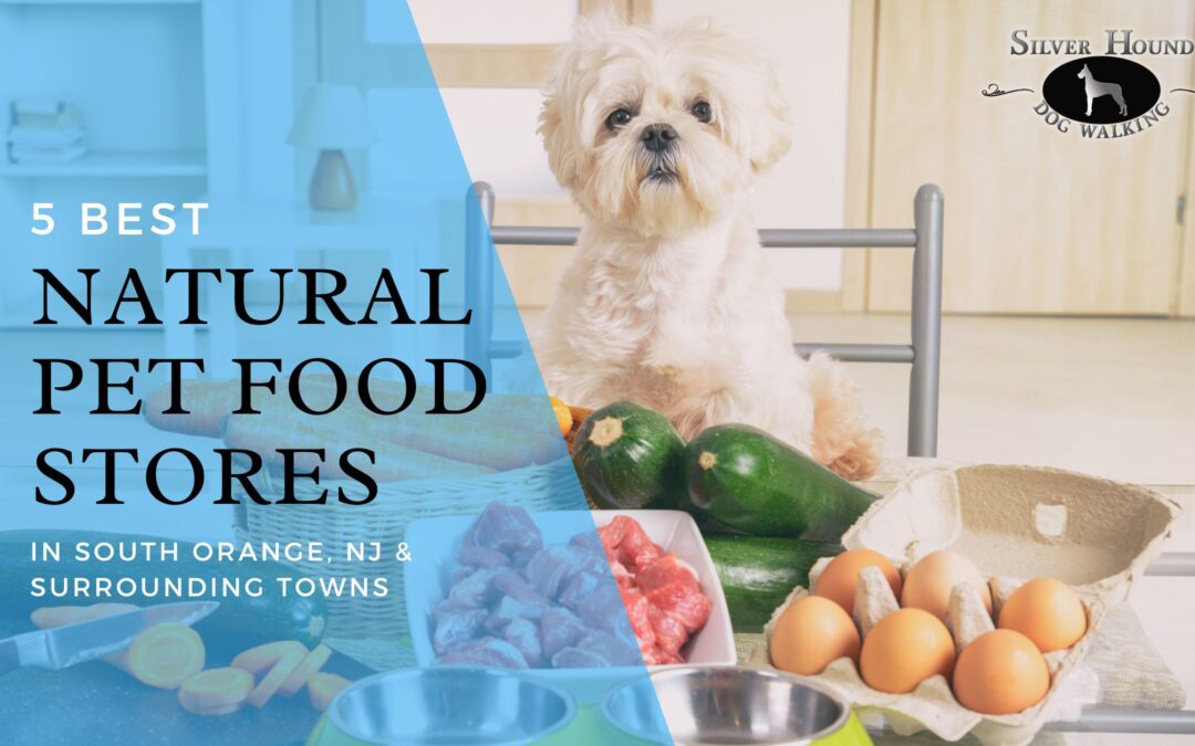 5 Best Natural Pet Food Stores in the South Orange area