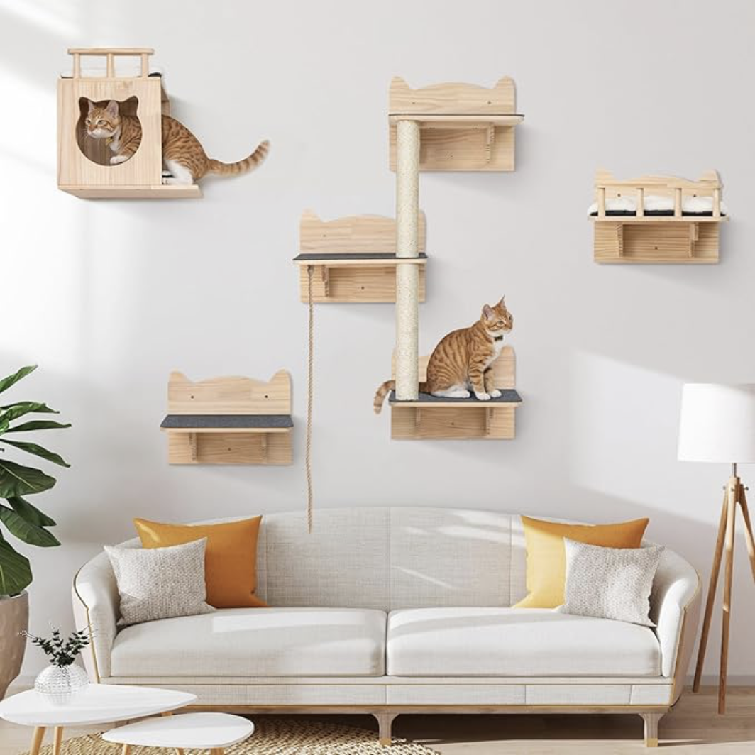 Cat Shelves Cat Wall Shelf