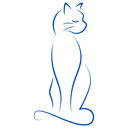 Cat Sitting