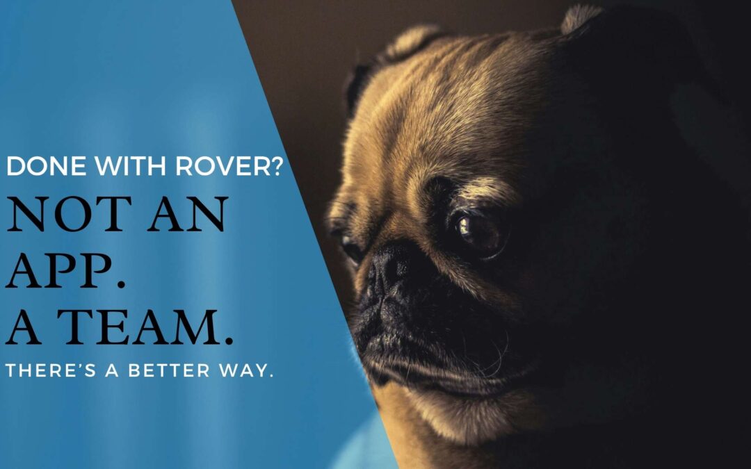 Looking for a Rover Alternative in Maplewood, South Orange & Millburn? Here’s What to Know